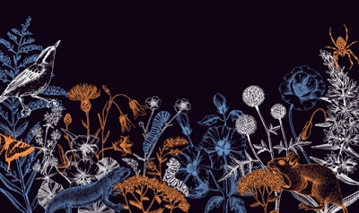 Summer design in sketched style. Botanical drawings of wildflowers, herbs, meadows, berries, animals and birds. Vintage wildlife hand-drawn illustrations. Field plants background in color